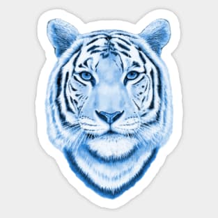 Blue tiger Sticker